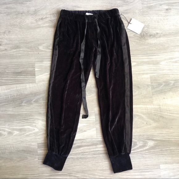 Urban Outfitters Pants - NWT ! BELLA DAHL black velvet jogger